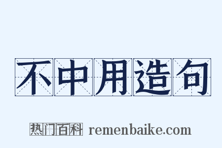 不中用造句是什么意思的图片
